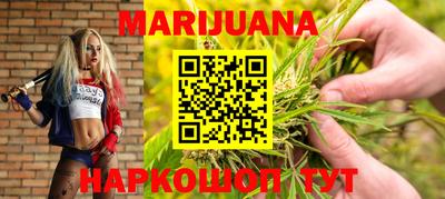 apvp Славгород